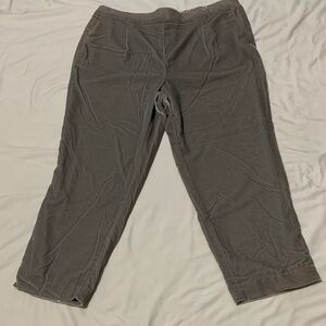 Ann Taylor Light Silver Gray Pants